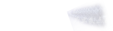 MBAרҵ